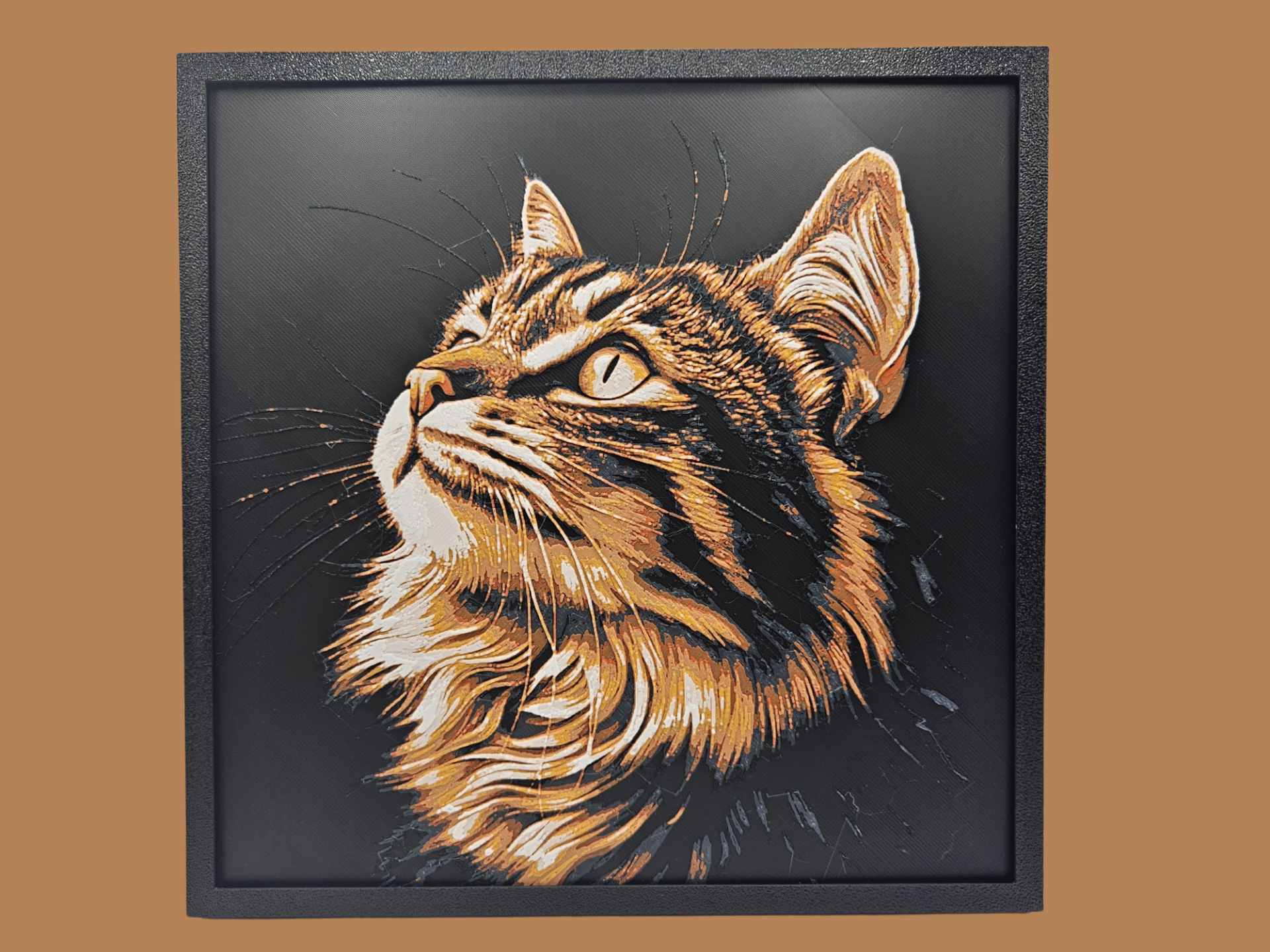 Cat Gazing