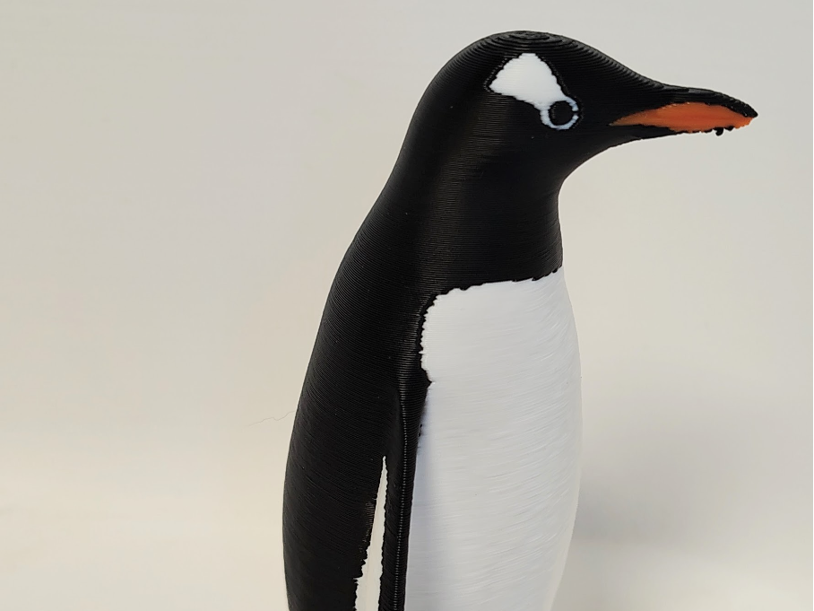 Gentoo Penguin