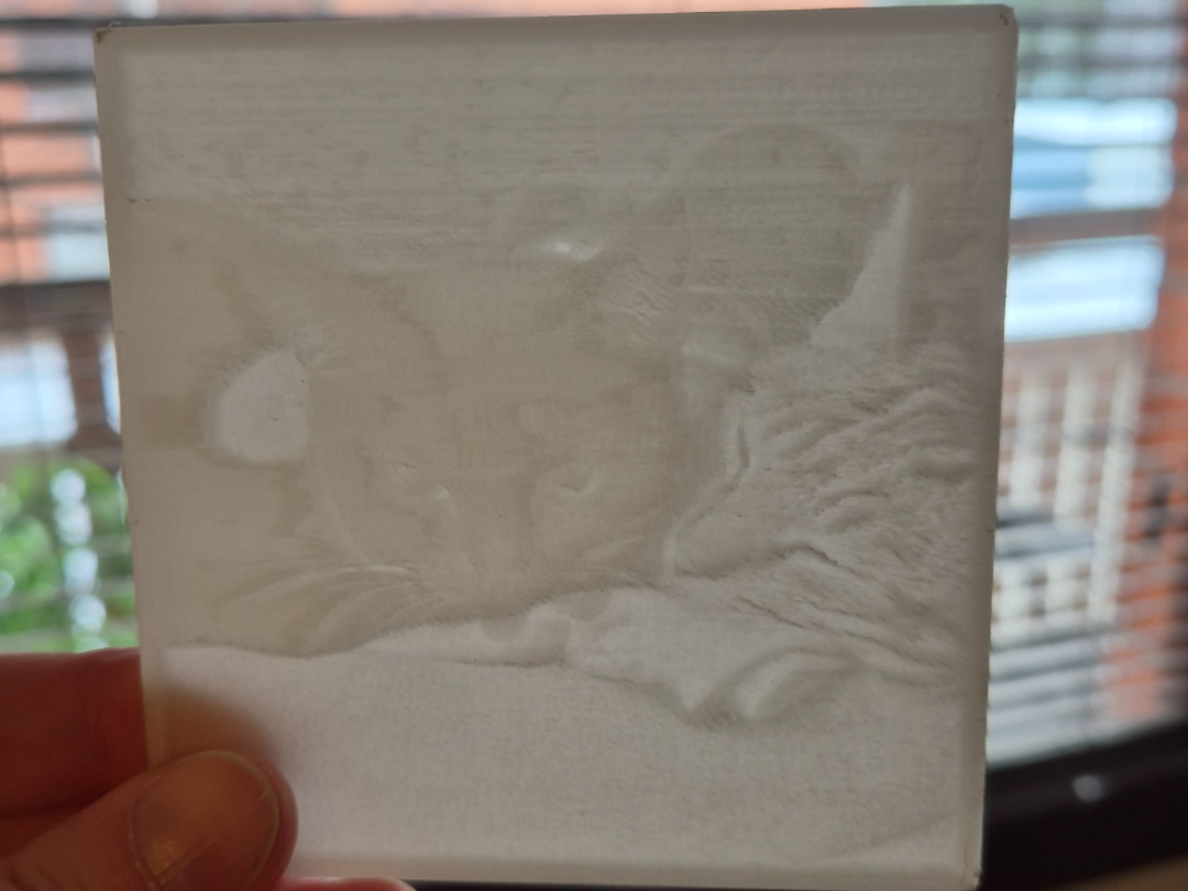 Cute cats 2
