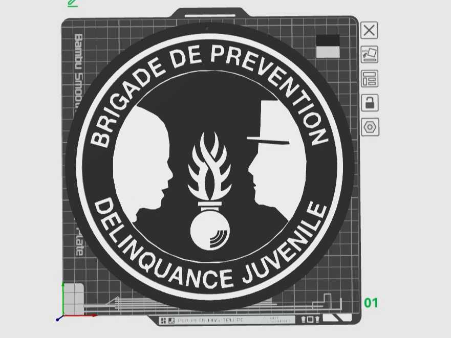 Juvenile Delinquency Prevention Brigade Emblem