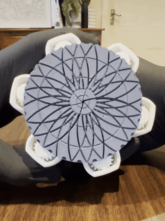 Large Mechanical Dice Box