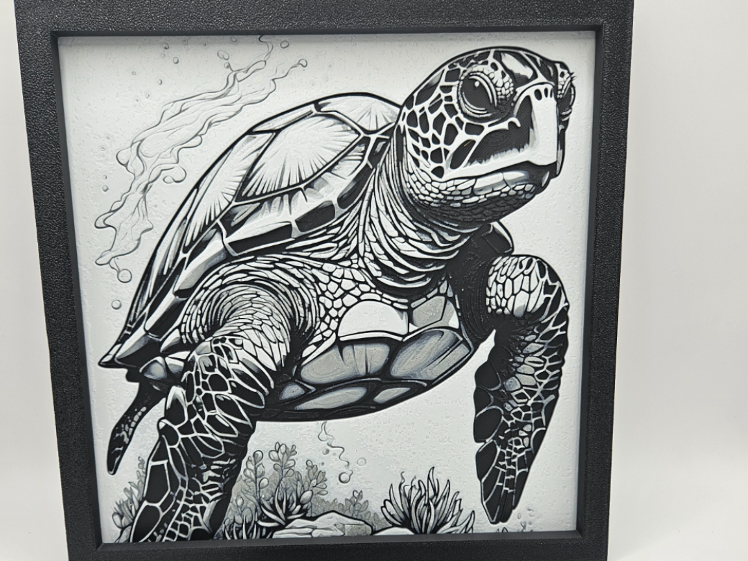 TORTUE
