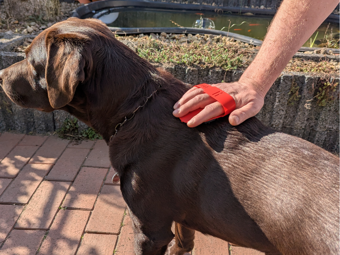 Pet Grooming Brush – Flexible & Effective!