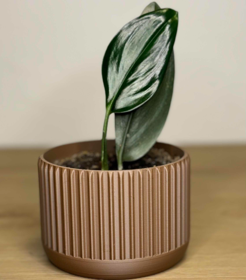 Modern geometric flower pot | planter 100x70 mm