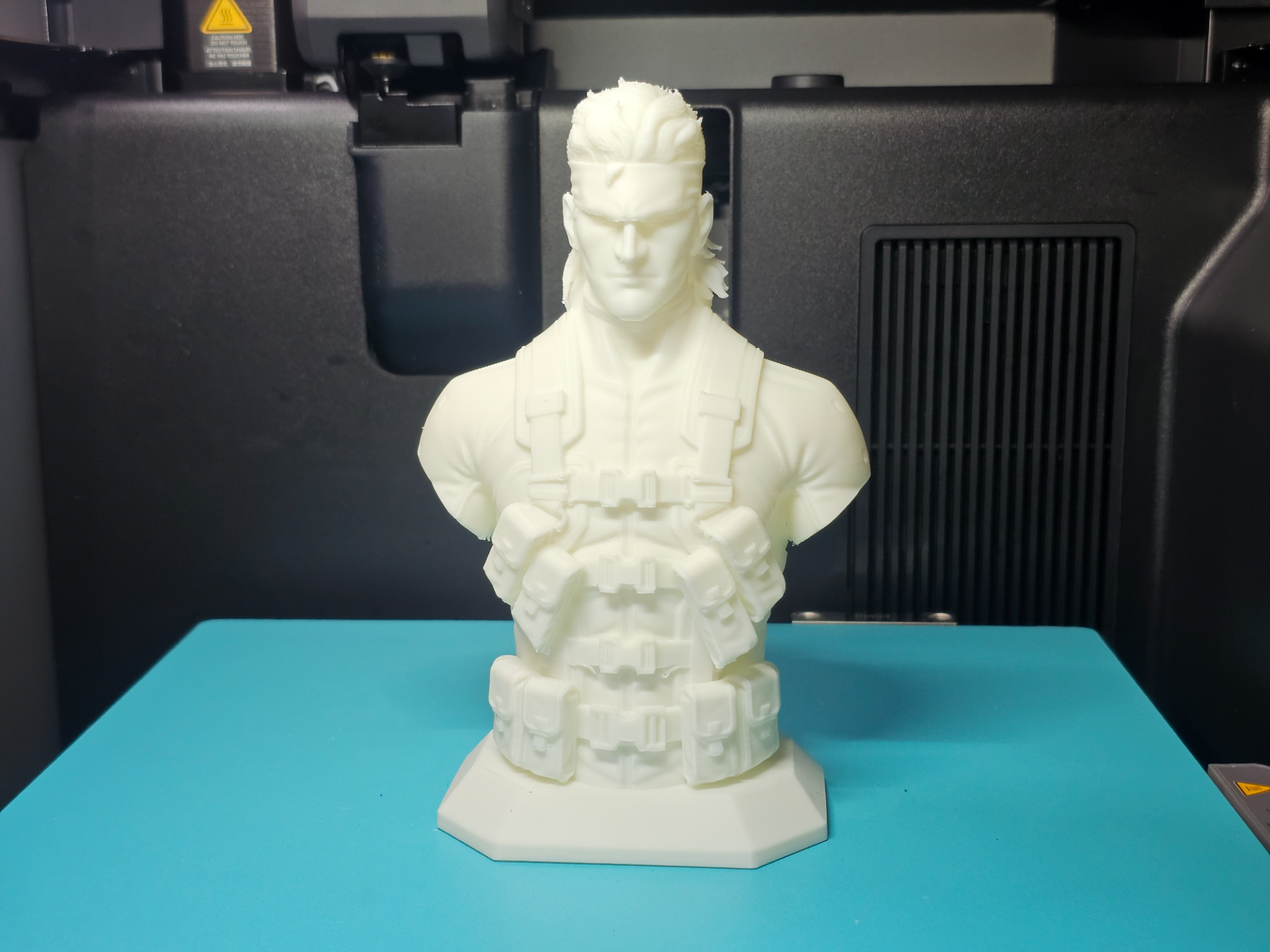 Classic Snake Bust