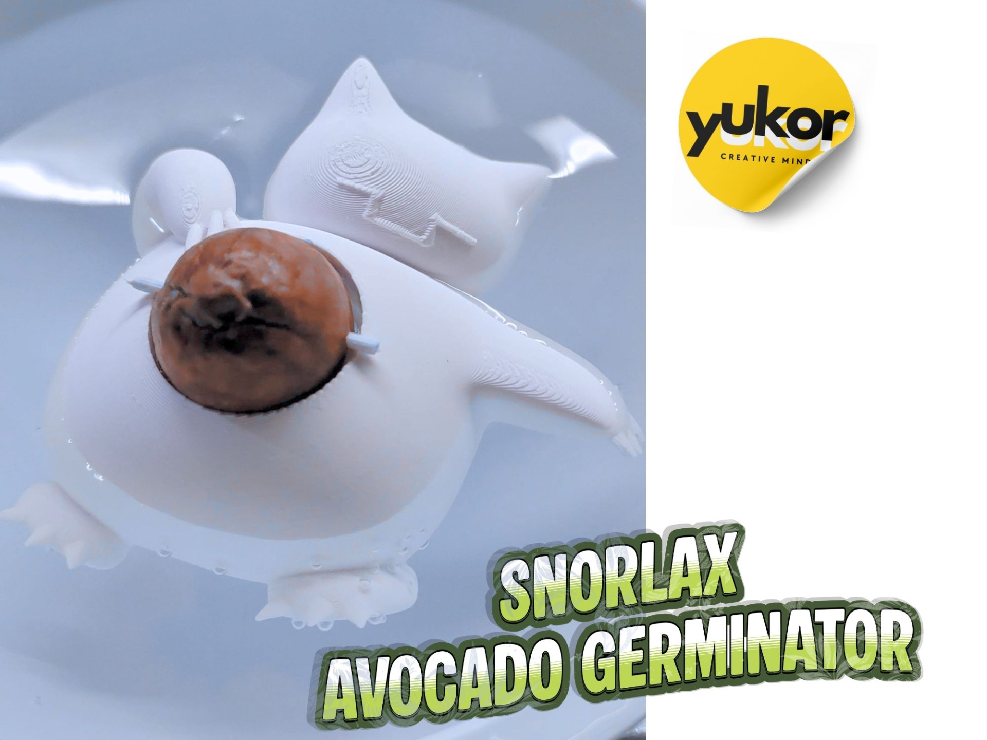 Snorlax the Avocado germinator