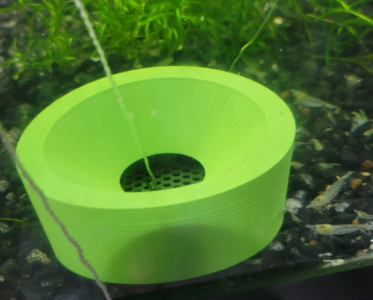 Snail Trap