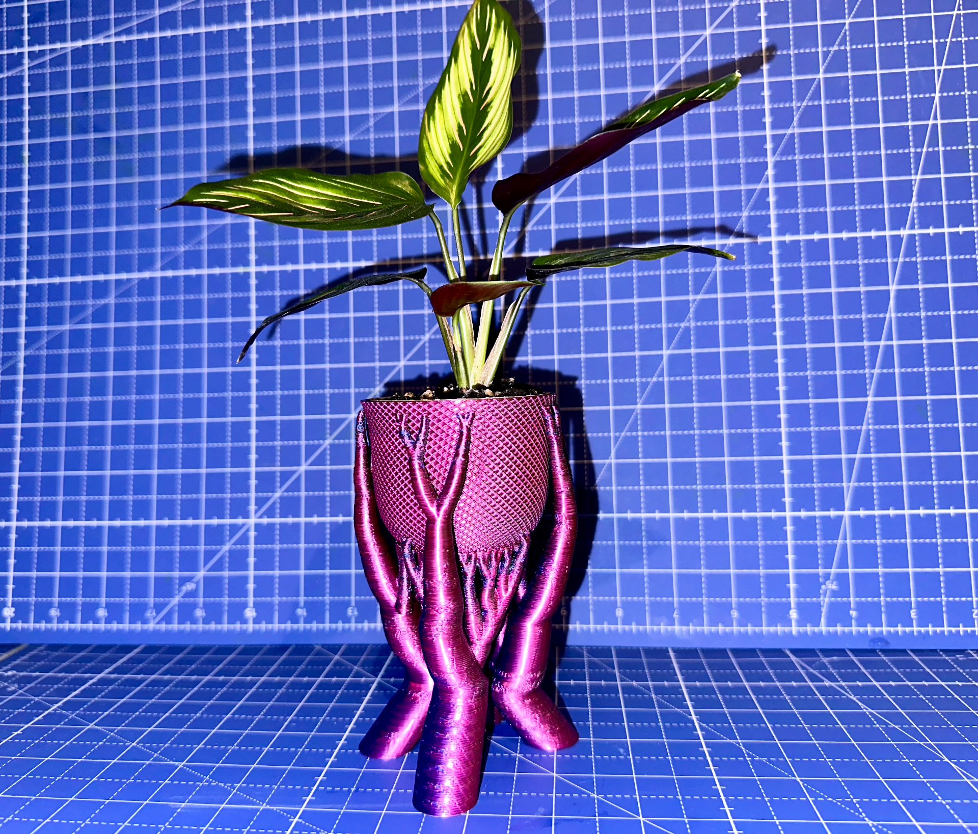 Planter pot with tree support