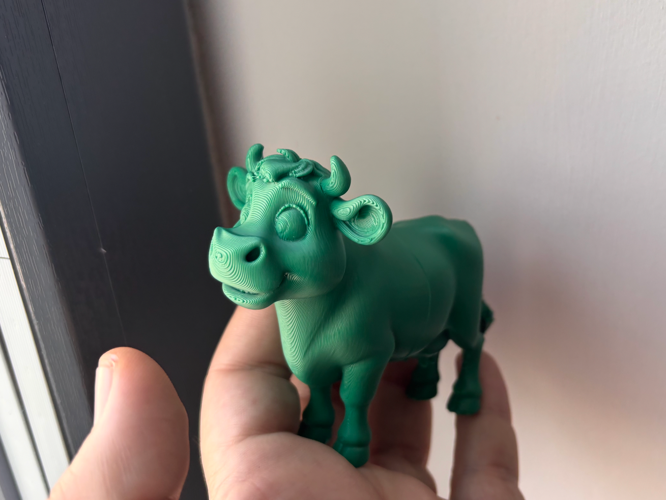 Cute cow