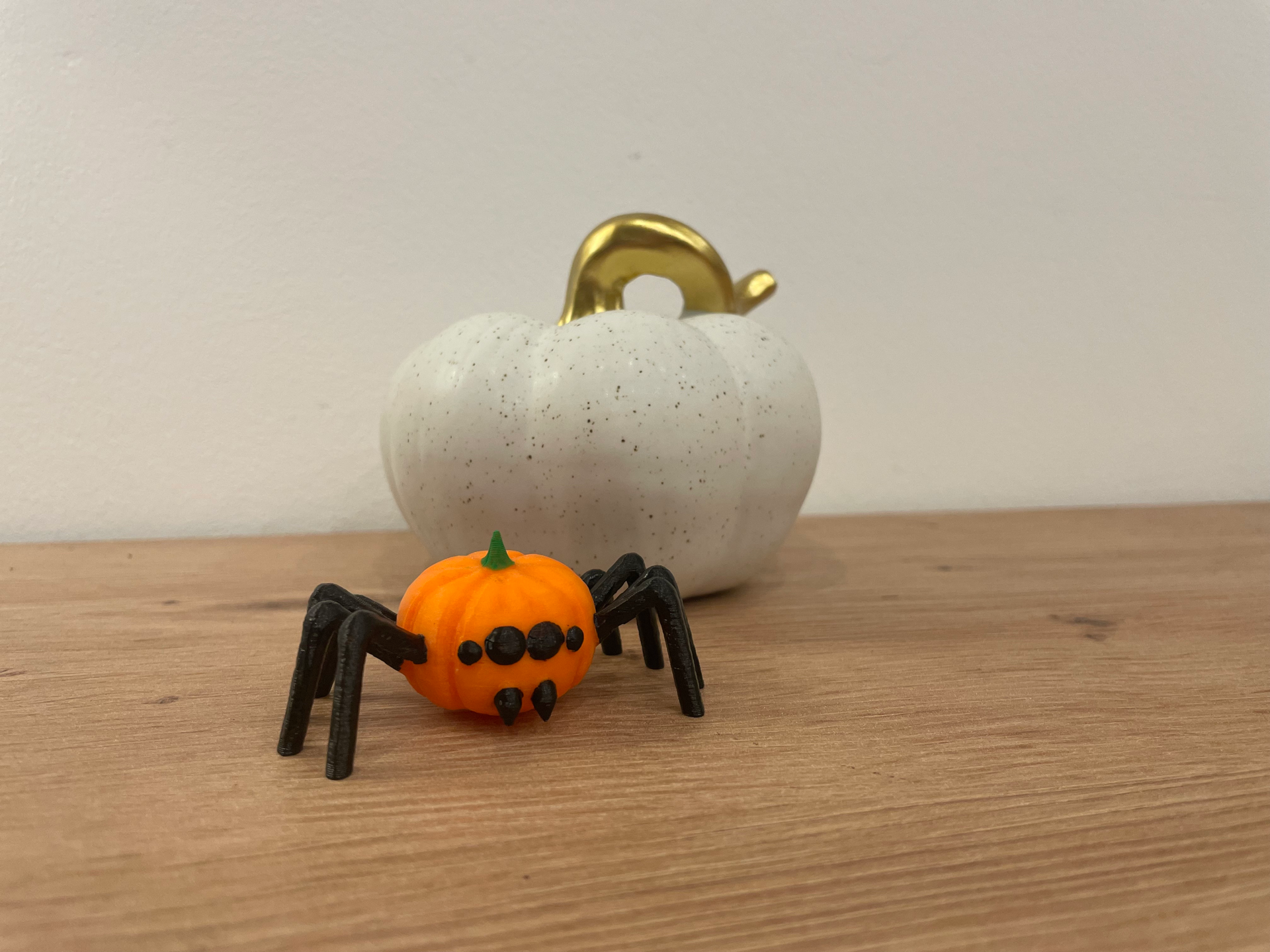 Pumpkin or Spider Koko the first Pumpkinspider