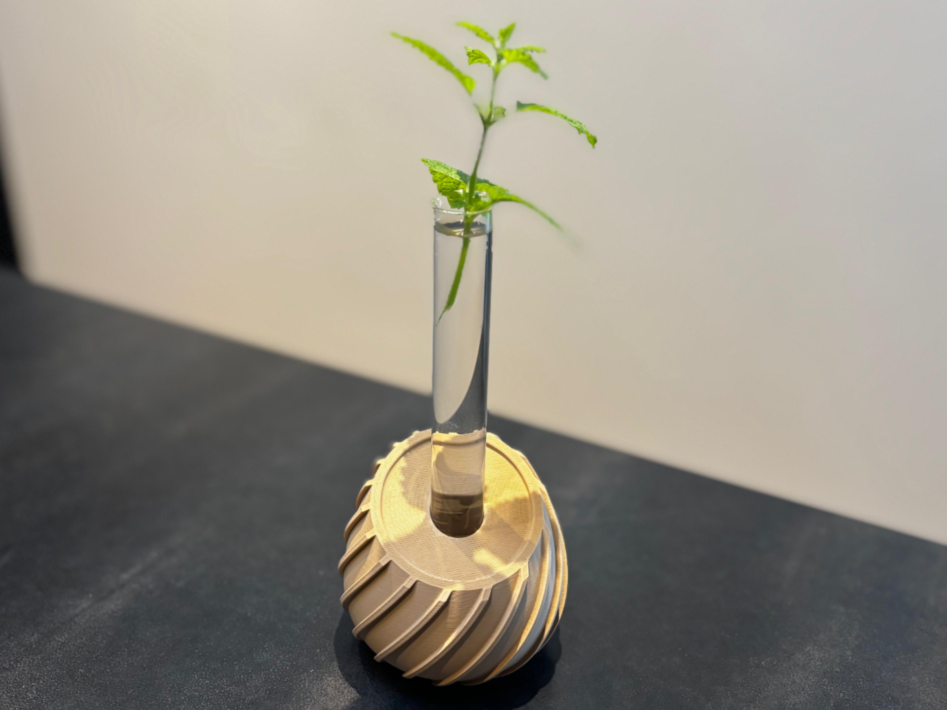 Spiral-Reagenzglas Vase