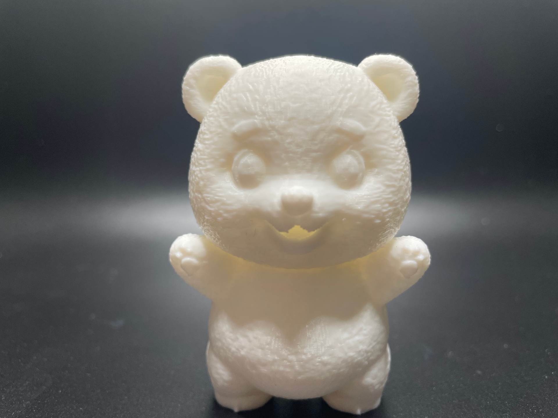 Cute Baby Cub
