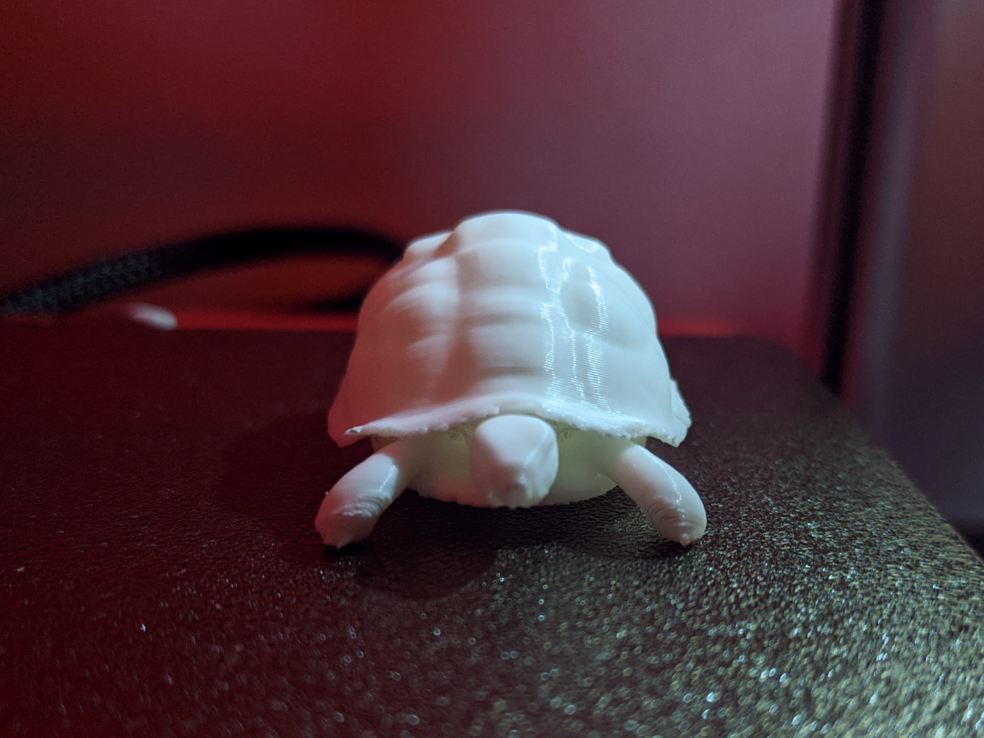 Tortoise