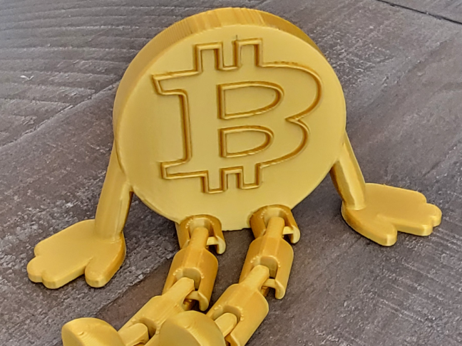 Bitcoin Articulated Coin mistake