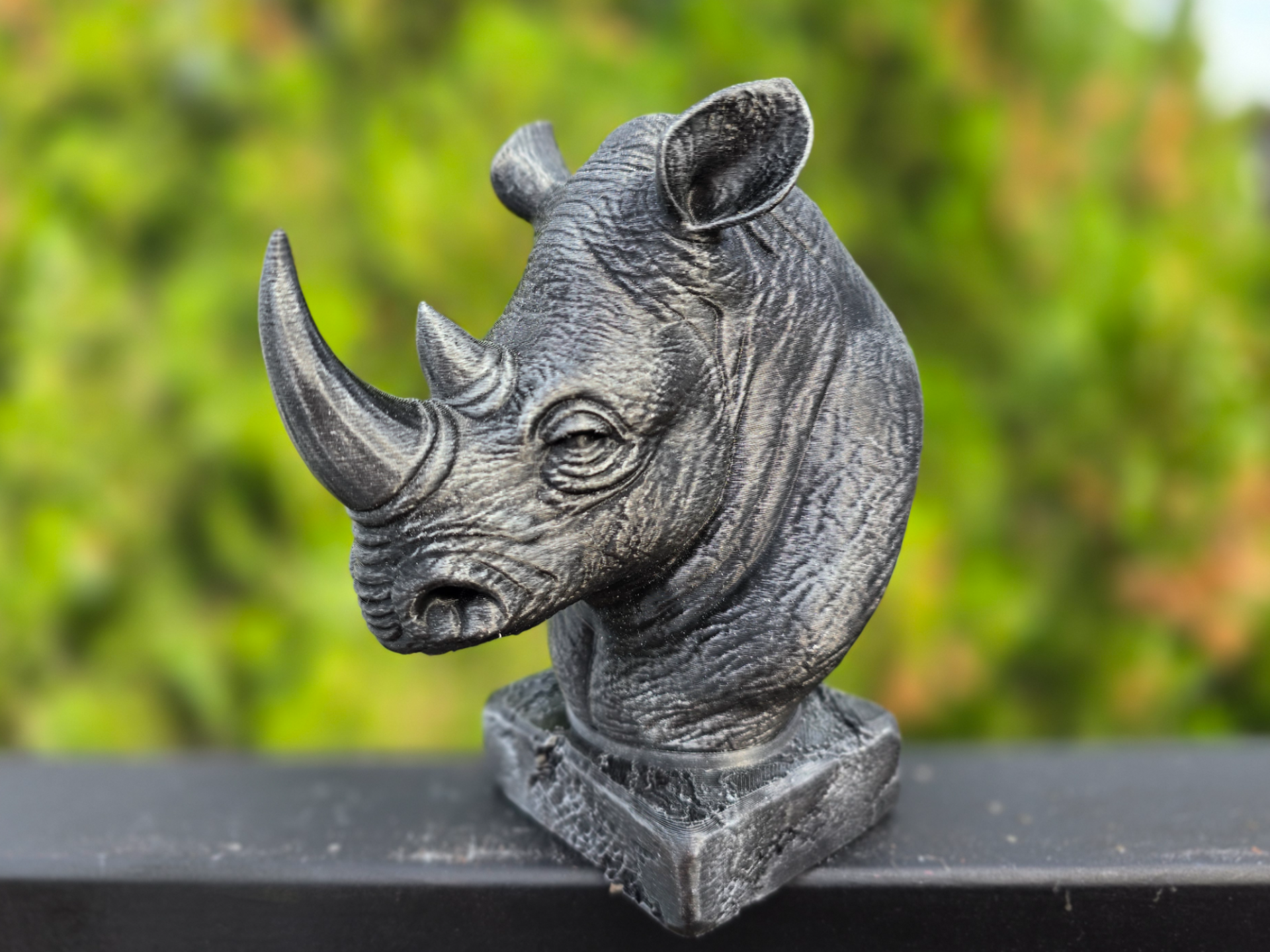 RHINO BUST