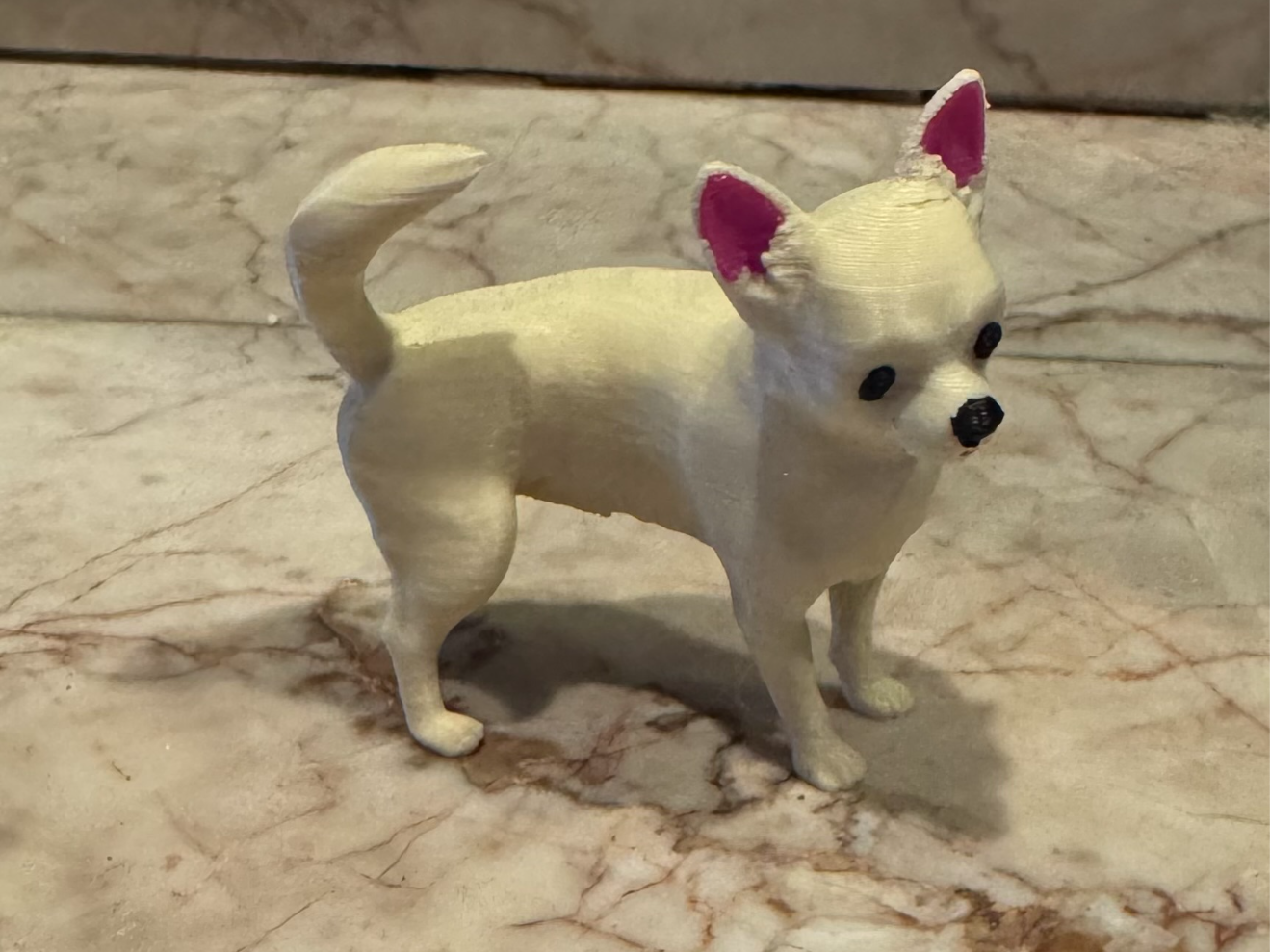 Chihuahua Small Dog