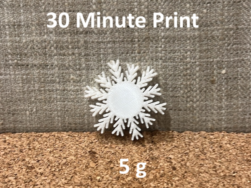 Snowflake Refrigerator Magnet