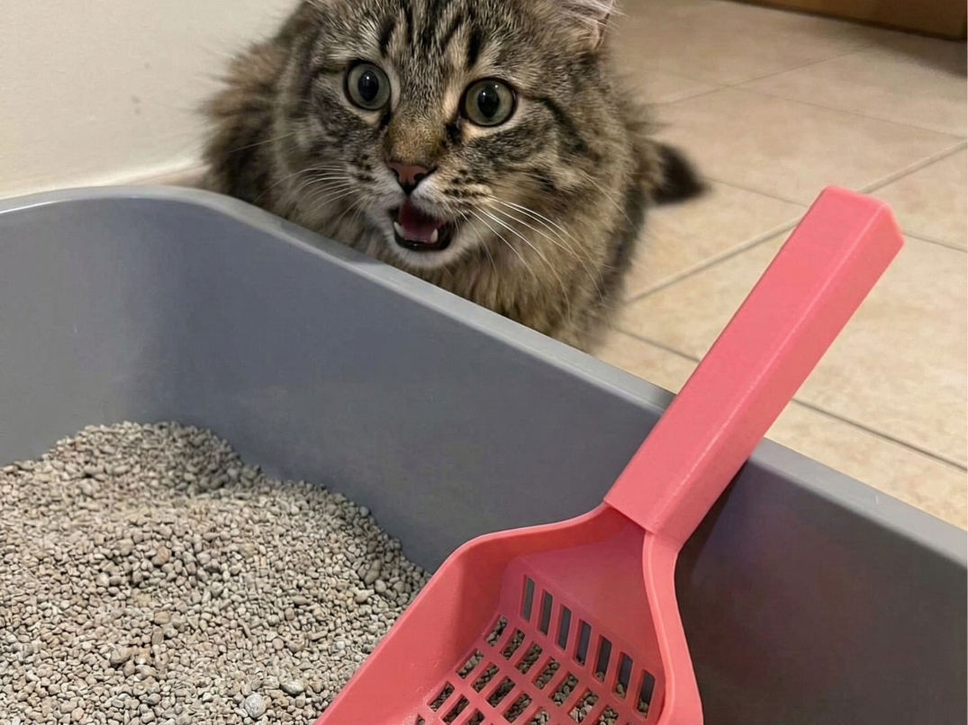 Heavy Duty Cat Litter Scooper