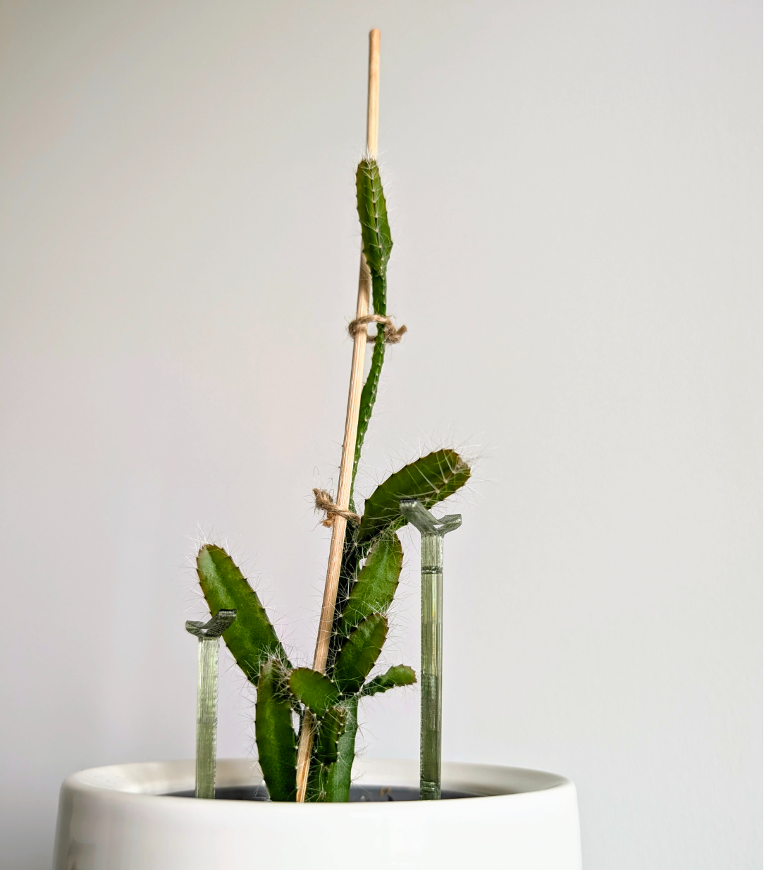 Plant Support, Easily Scalable