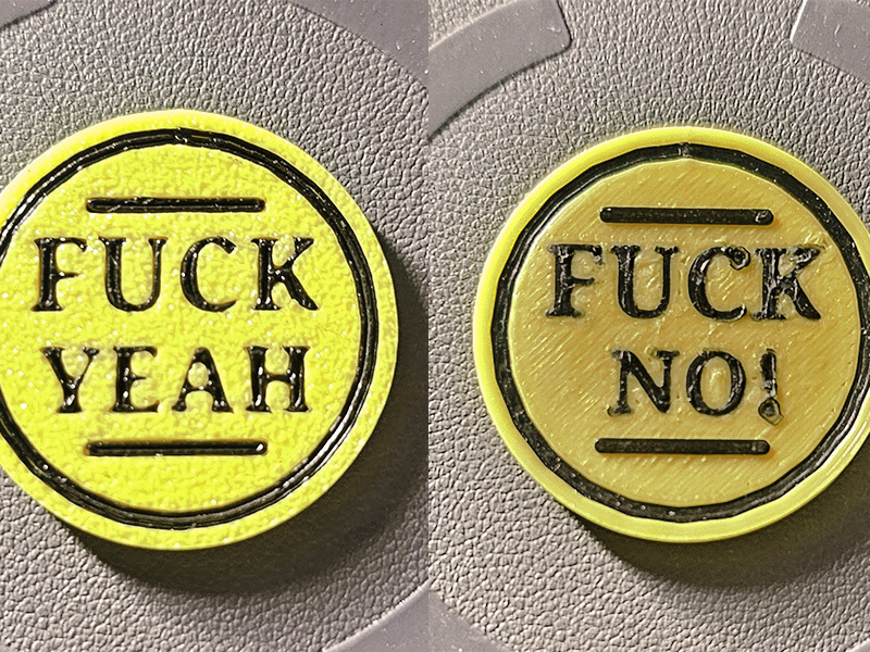 F_ing Decisions Coin - Yes No Coin