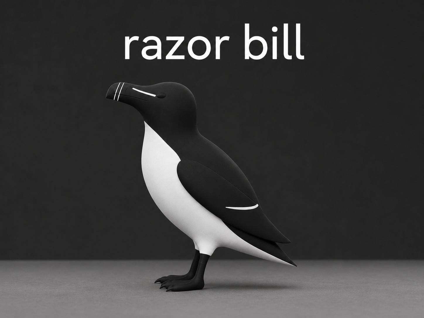 razorbill
