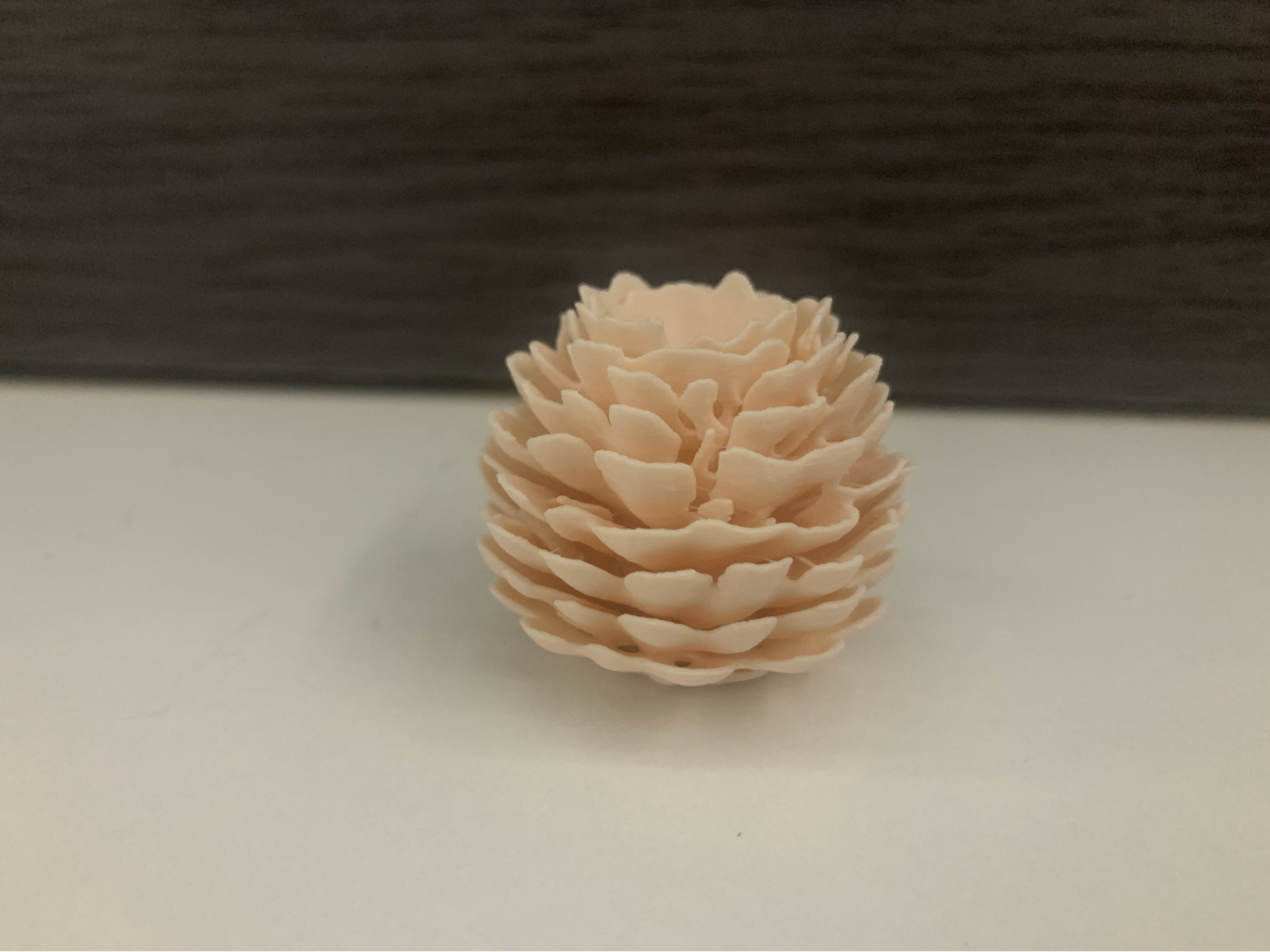 Défis pomme de pin