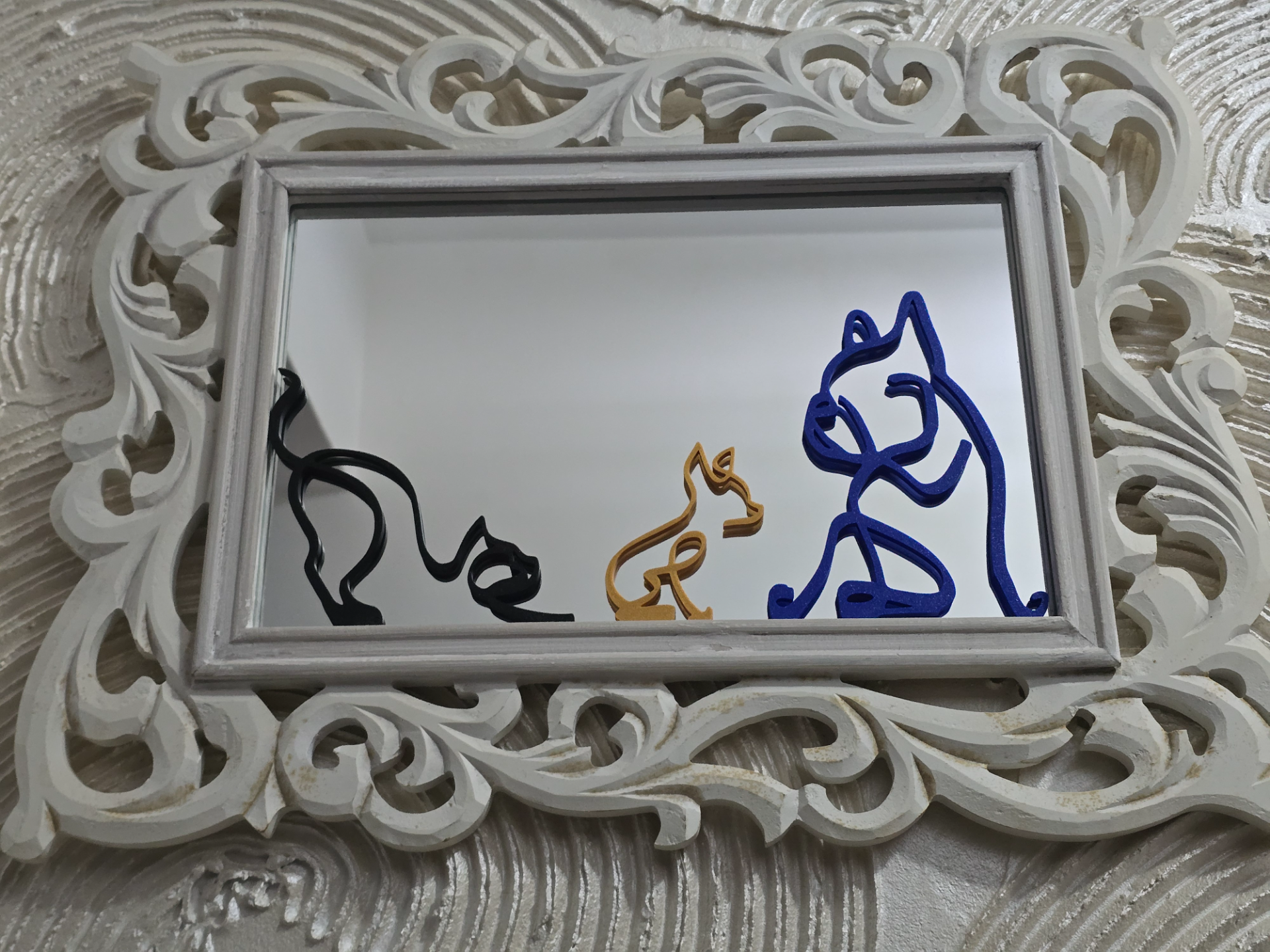 Cat - micio - gatto