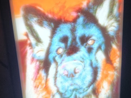 German Shepherd Lithophane