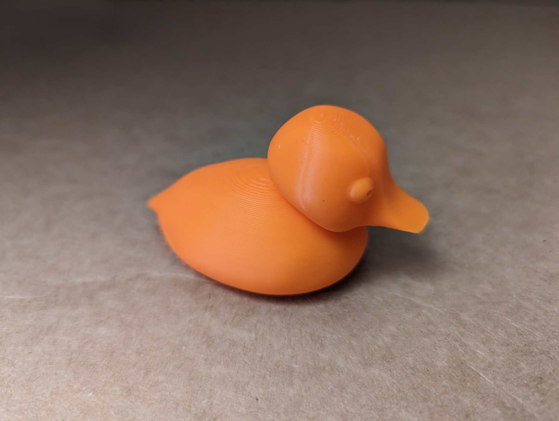 A little duck
