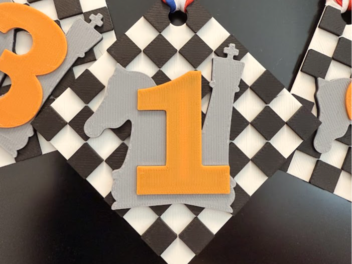 Chess Championship Medals