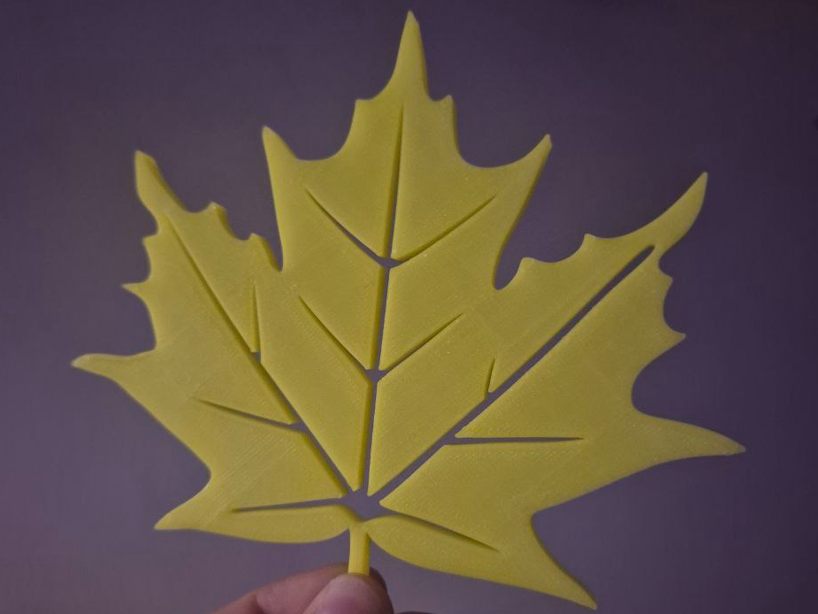 Maple Leaf Coaster