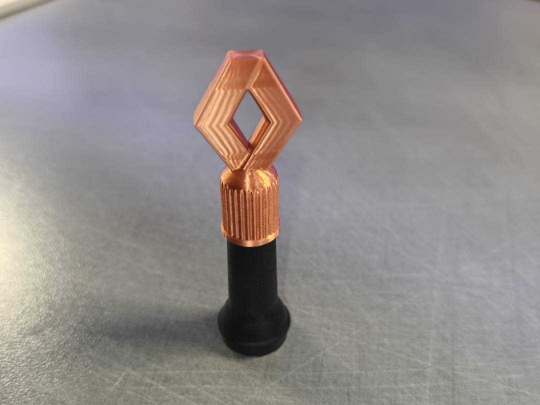 Renault tire valve cap