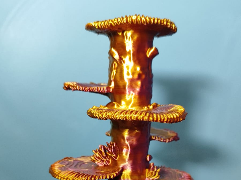 coral pilar