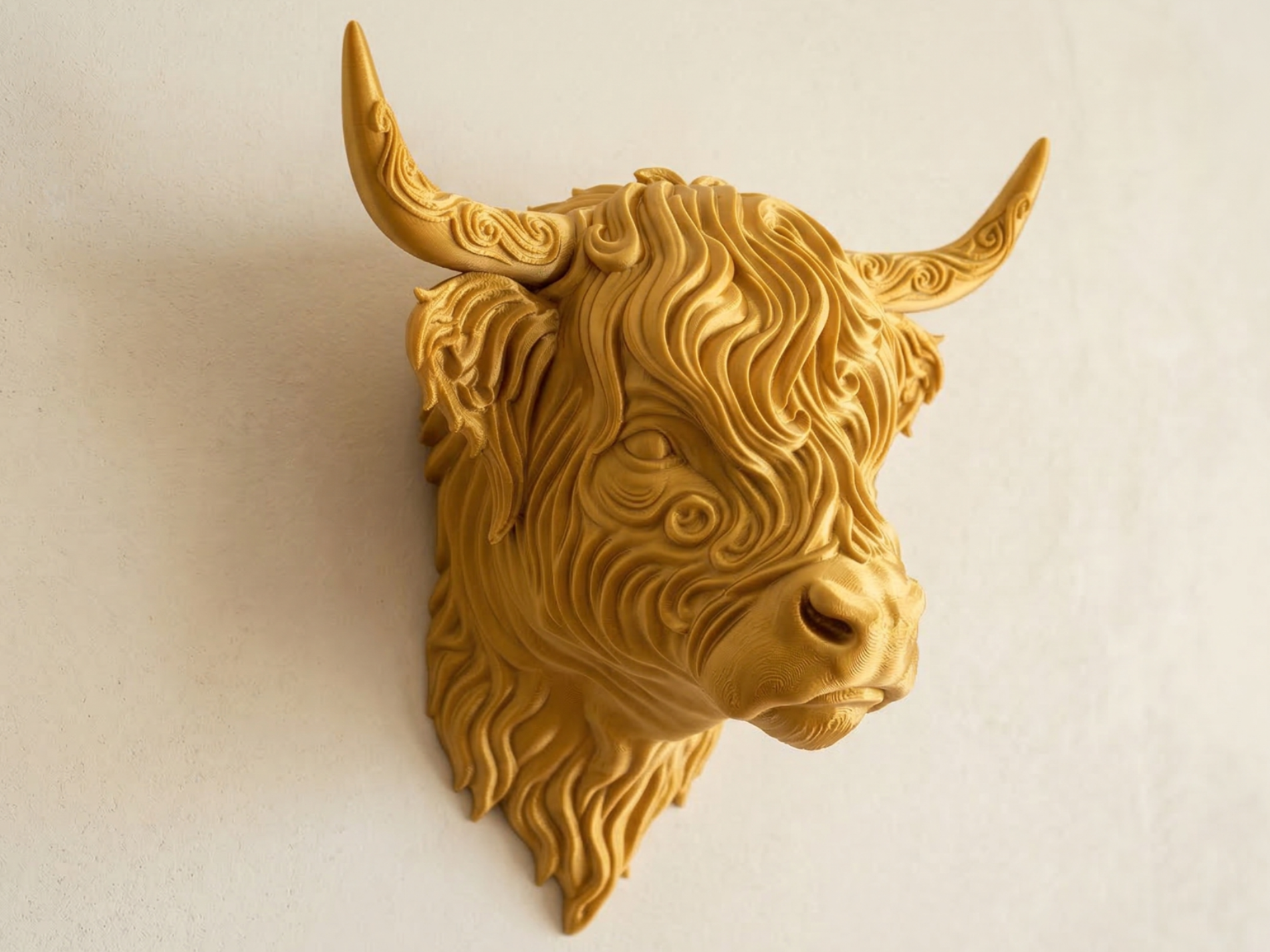 Vaca de las tierras altas - Arte de pared