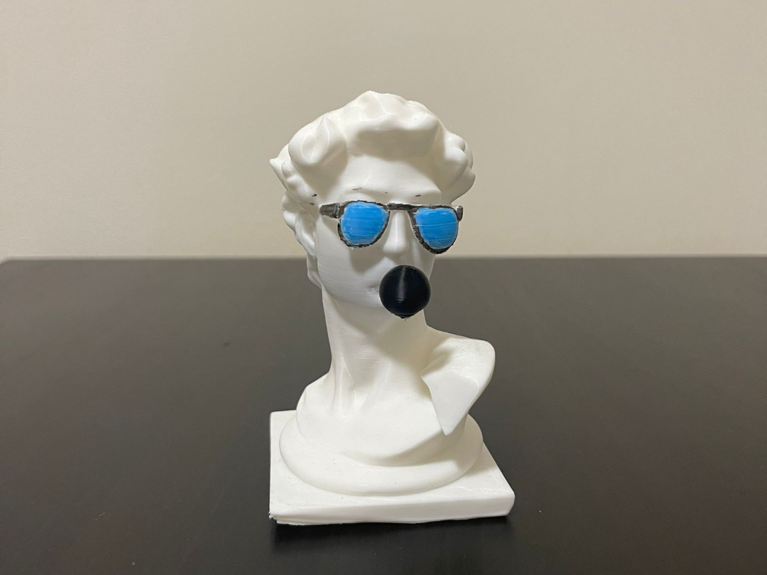 david bust