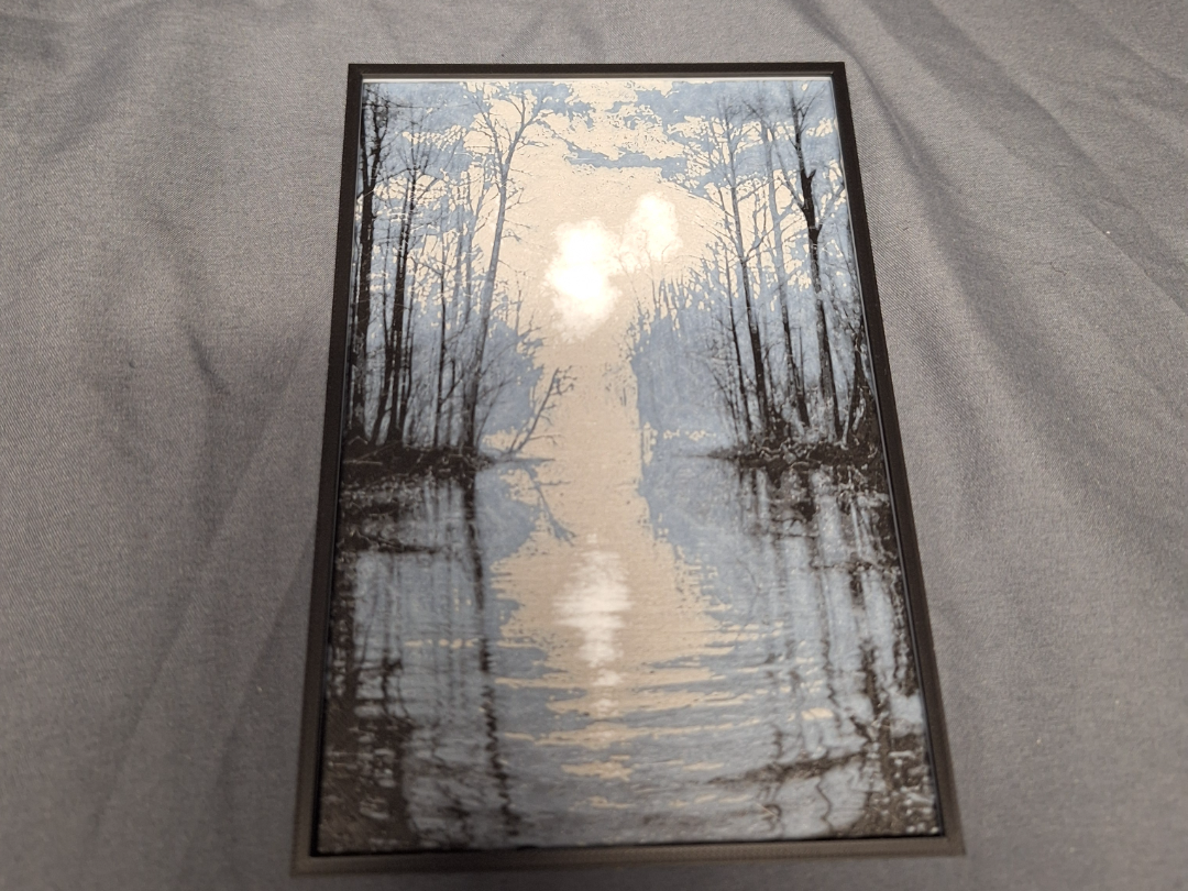 Swamp