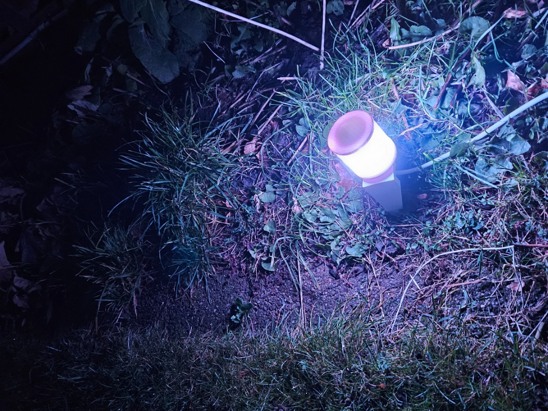 Small 12v Garden Light