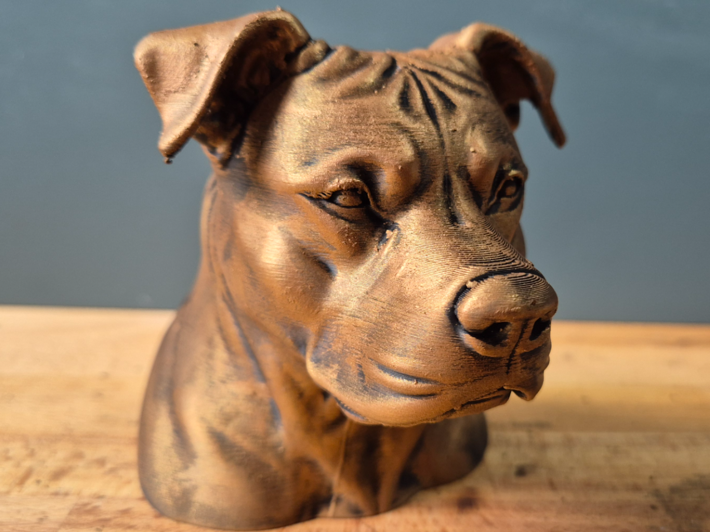 Pitbull (natural ears) Bust