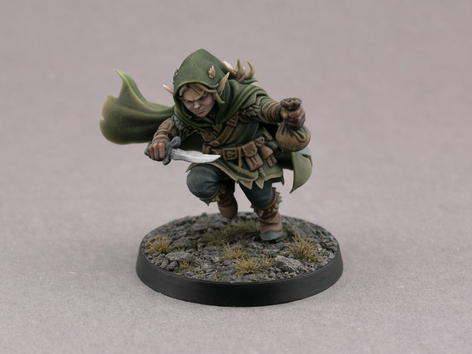 Elf Thief