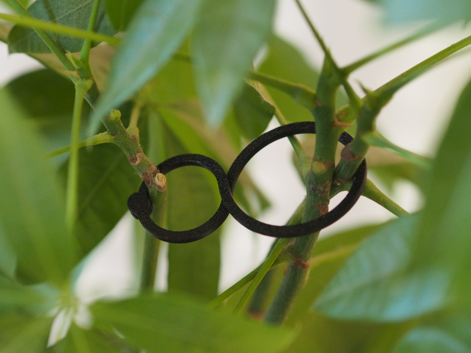 Plastic Garden Strapping Clips