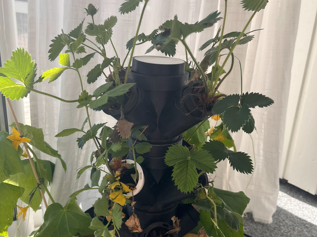 hydrophonic tower