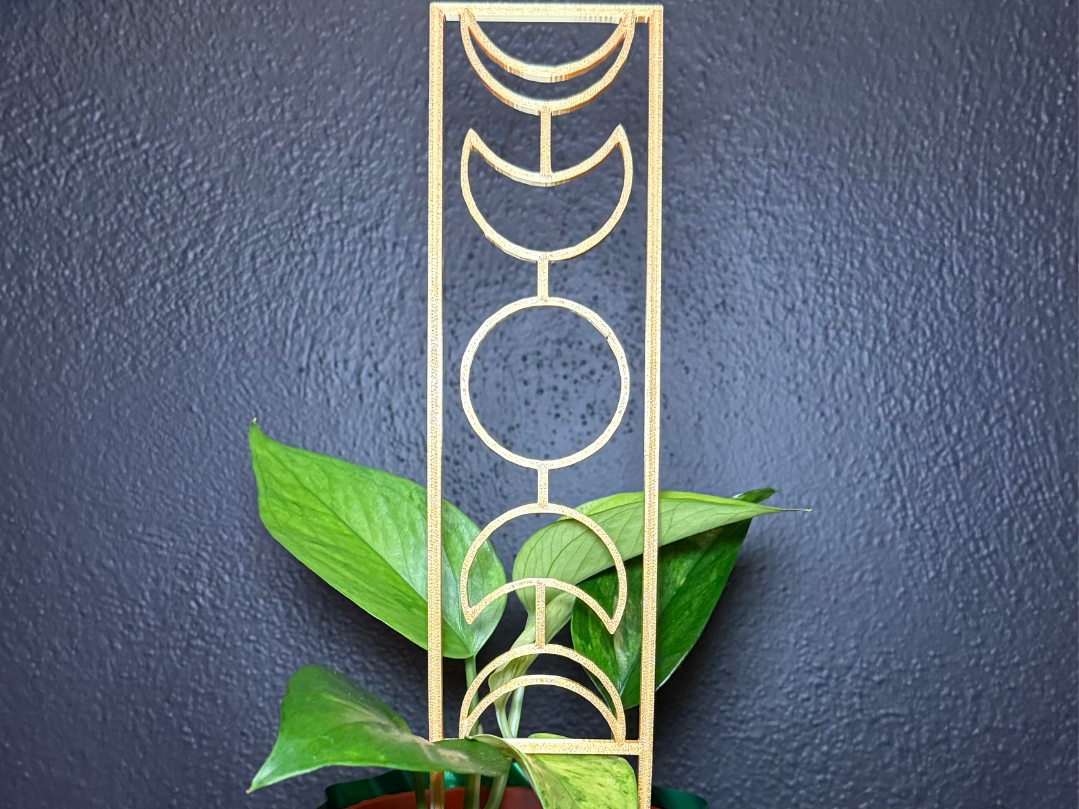 Moon Phase Plant Trellis