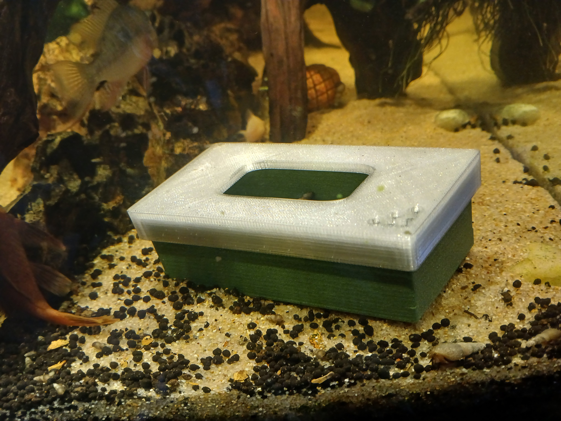 Snail Trap for Aquarium