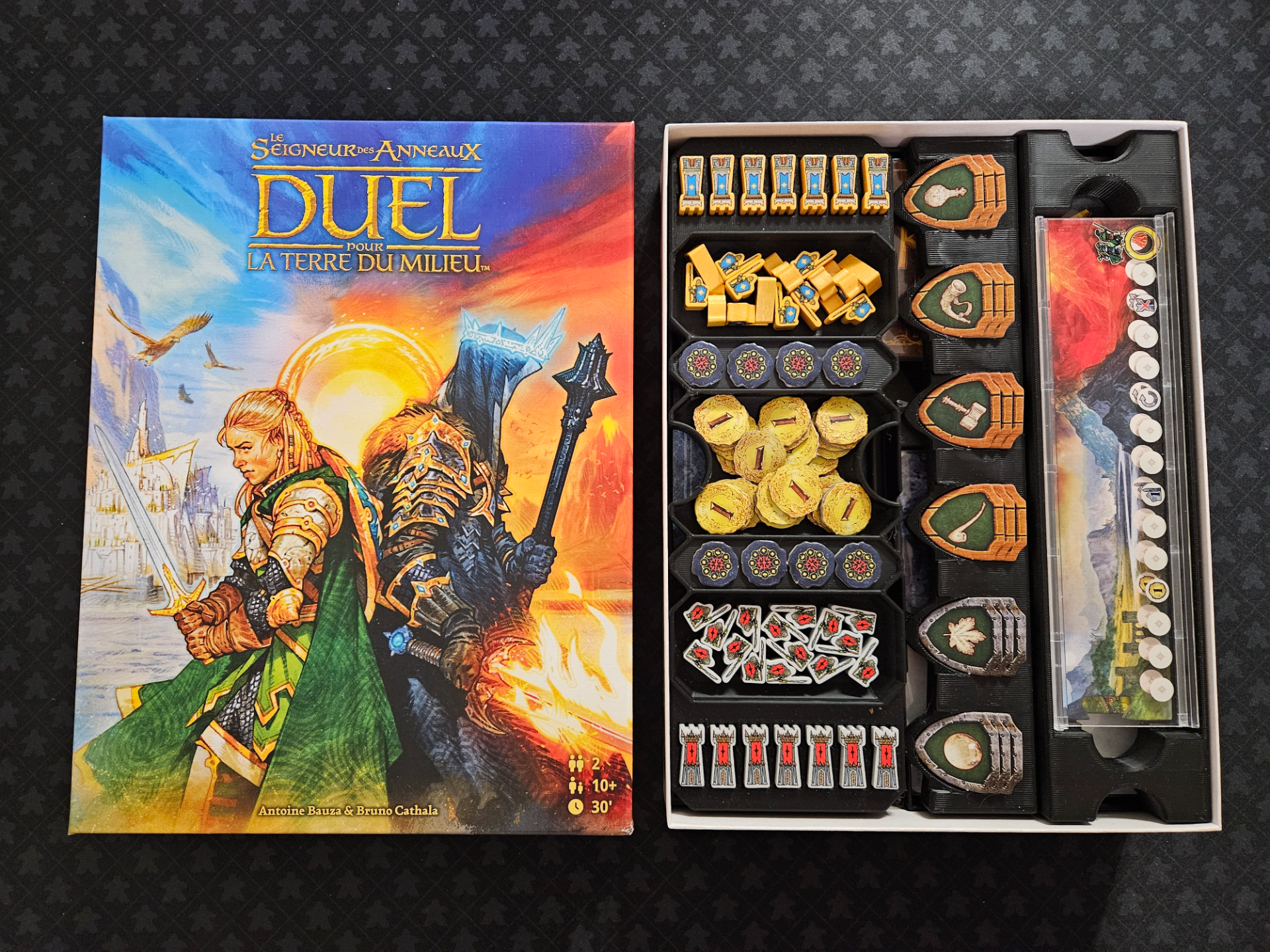 The Lord of the Rings: Duel - Insert