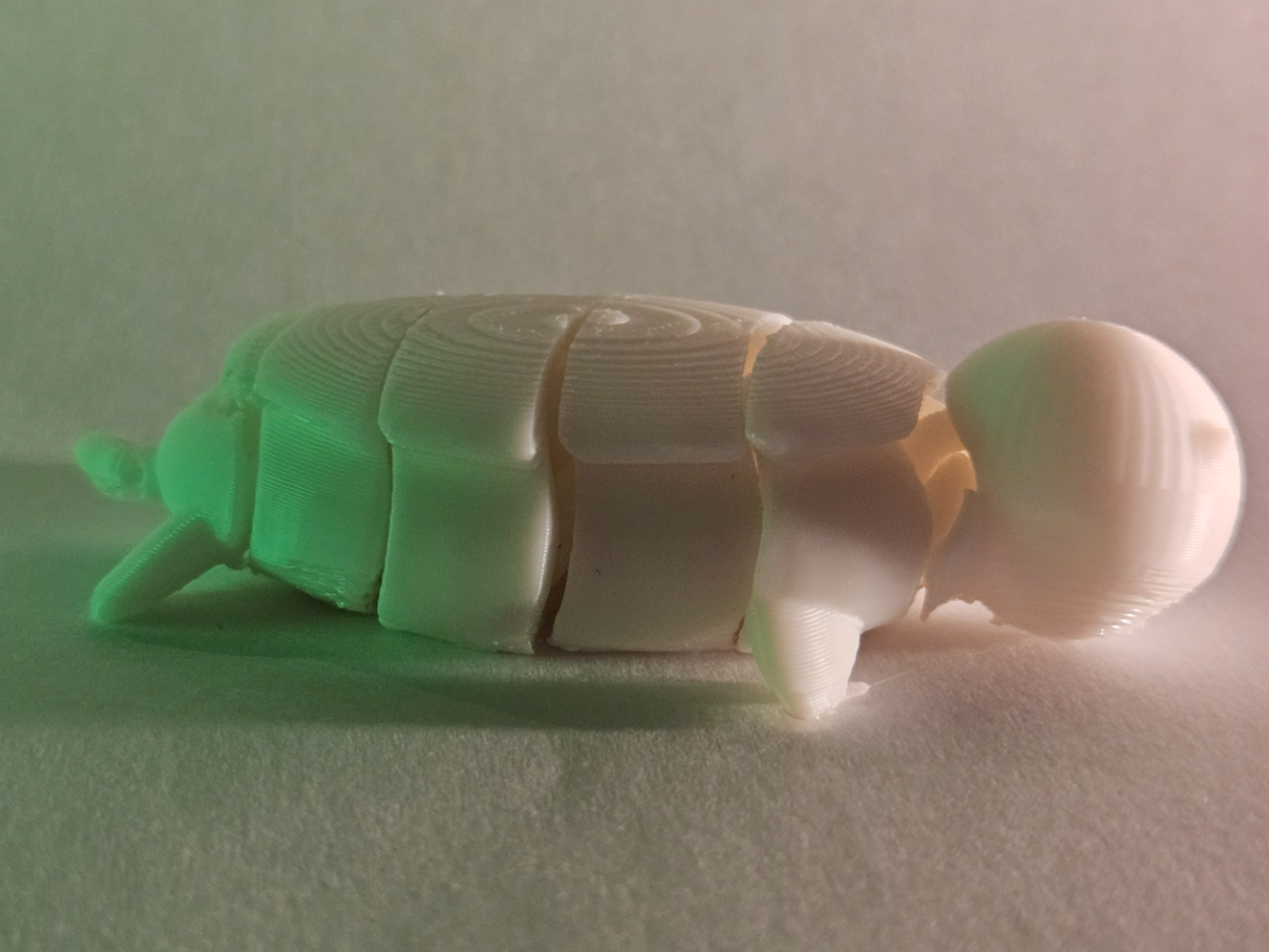Flexi Turtle