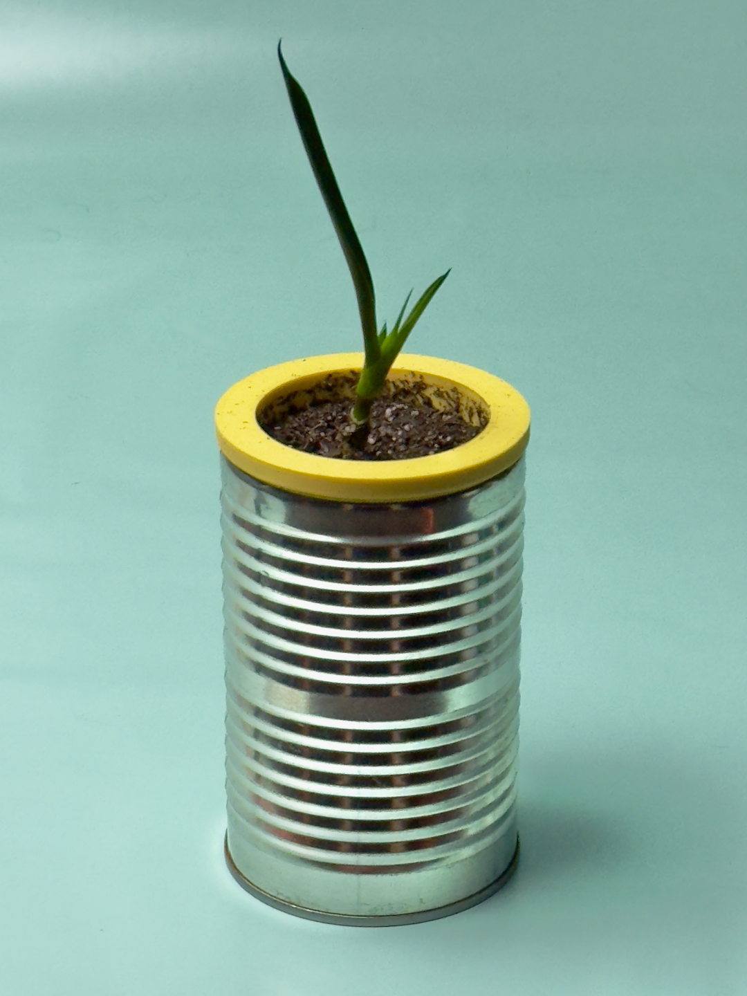 Self Watering Planter Can Insert