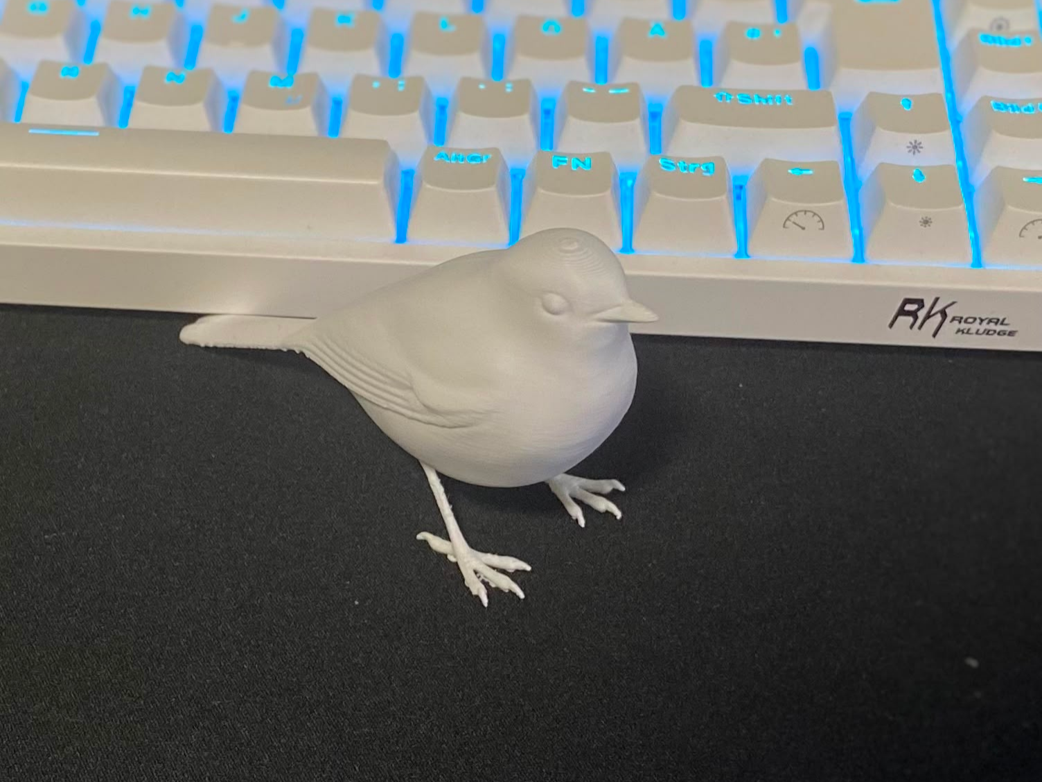 Vogel