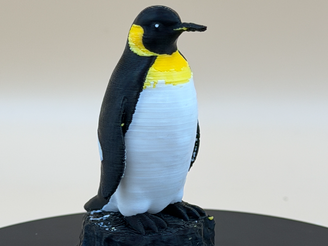 Emperor's Sentinel Penguin