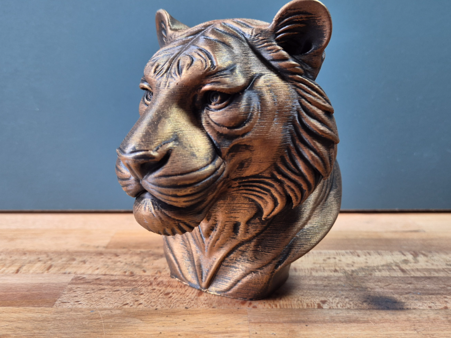 Tiger Bust model