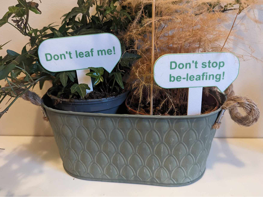 Plant Speech bubbles